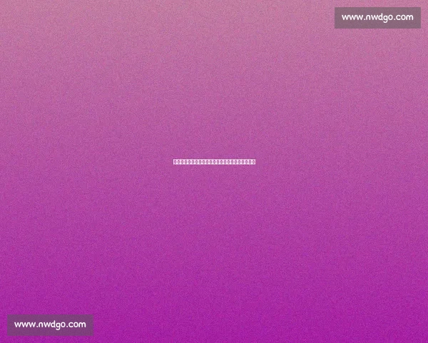 贝拉达盛赞曼联美国行：高标准与纪律性是成功关键