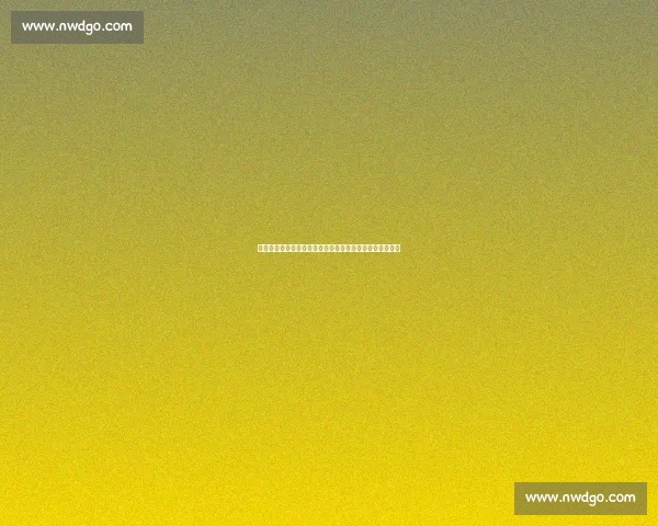 辽宁男篮阜新四国赛首秀！挑战西甲技术流与澳洲铁血防线