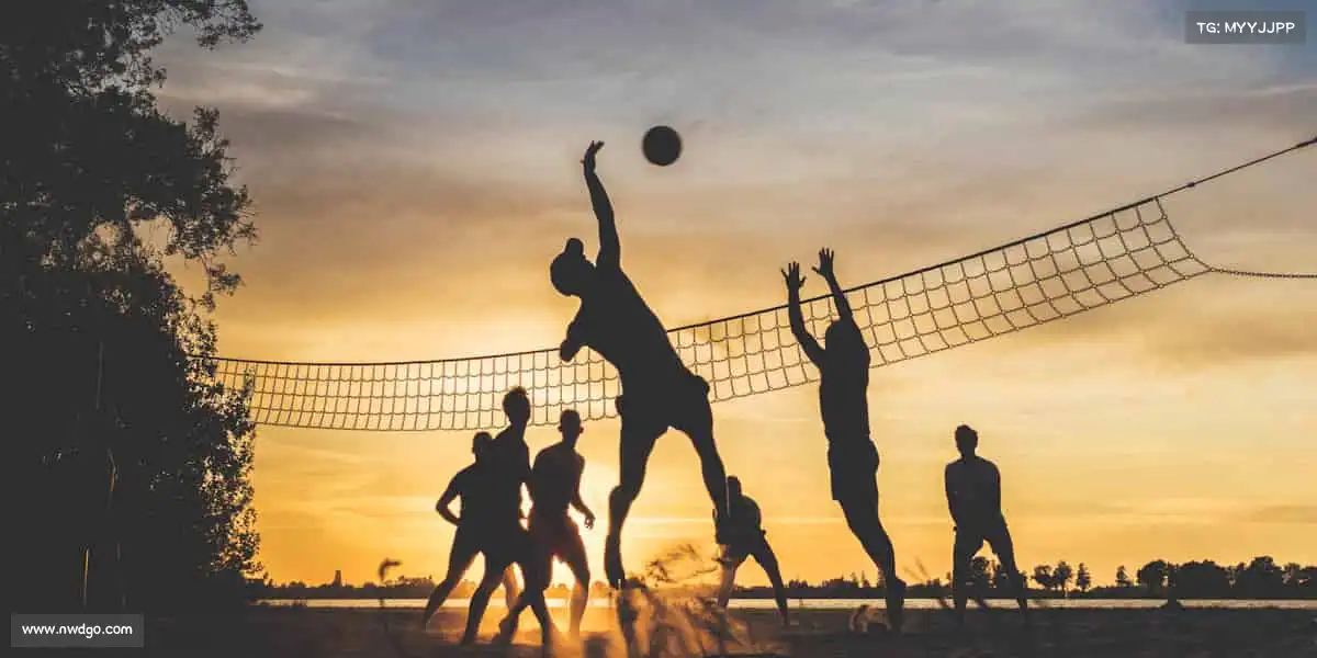 为什么选择我们